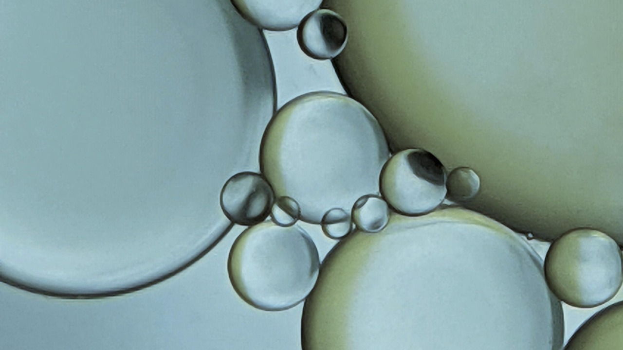 What Are Terpenes & Why Are They Important?
