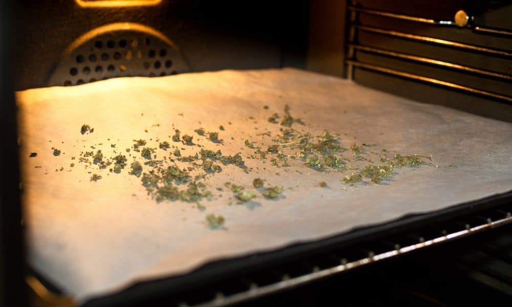cannabis