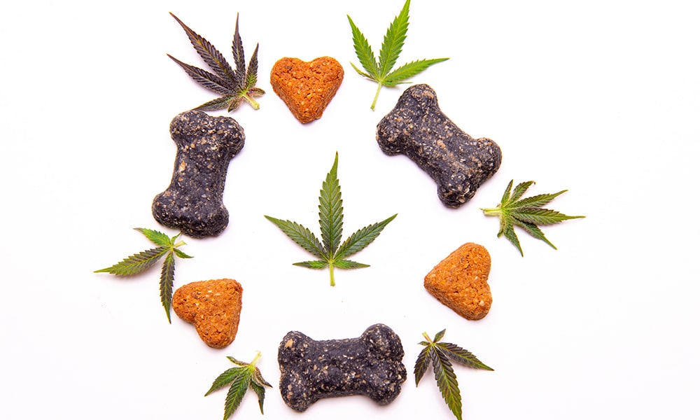 Cannabis-Infused Pet Treats