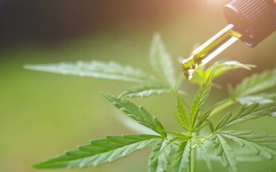 Does CBD Oil Have THC